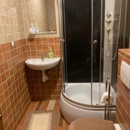 Anna Bukowina Jacuzzi & Sauna Шале